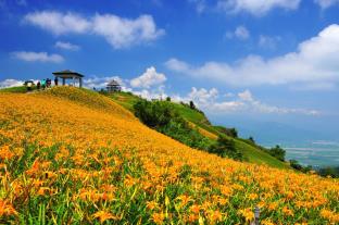 mountain house